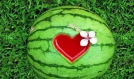 任性了有瓜吃,揭秘任性背后的甜蜜果实