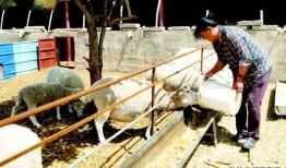 宫圈吃瓜避雷,避开雷区，轻松享受宫廷八卦盛宴