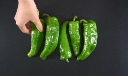 吃瓜和辣椒,探寻辣椒与美食的激情碰撞