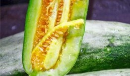 非洲网红吃瓜,趣味横生引网友热议