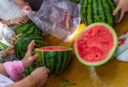 专业团队吃瓜视频,揭秘专业团队吃瓜背后的精彩瞬间