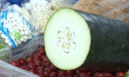 三伏天可以吃白瓜吗,白瓜的清凉养生之道