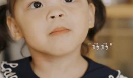 小猪兜儿吃瓜,一场欢乐的夏日盛宴