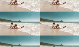 海滩吃瓜群众图片