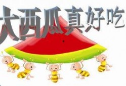 吃瓜爆料最新PPT,揭秘娱乐圈最新热点事件