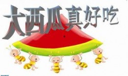 吃瓜爆料最新PPT,揭秘娱乐圈最新热点事件