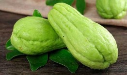 家禽吃佛手瓜,佛手瓜的养殖与利用