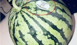 非洲网红吃瓜,趣味横生引网友热议