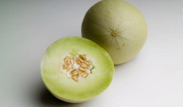 夏日吃瓜白兰瓜