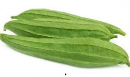 吃玉瓜通便吗怎么吃,这样吃，轻松解决便秘困扰