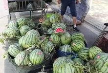 汾阳吃瓜事件主人,一场网络狂欢背后的真相与反思