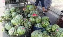 汾阳吃瓜事件主人,一场网络狂欢背后的真相与反思