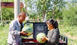 阿勒泰吃瓜图片,夏日美食盛宴