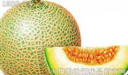 半夜吃哈密瓜会胖吗,增肥风险解析