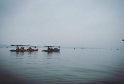 烟雨吃瓜客,揭秘娱乐圈的幕后故事与八卦风云