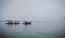 烟雨吃瓜客,揭秘娱乐圈的幕后故事与八卦风云