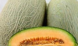 哈密瓜吃不吃种,吃还是不吃，这是一个问题