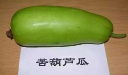 为啥吃瓜就会恶心,为何吃瓜也能引发恶心反应