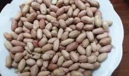 吃瓜少年爱吃瓜子,吃瓜少年与瓜子的甜蜜邂逅