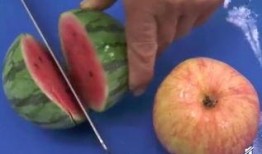 蜜蜂吃瓜吗,揭秘蜜蜂是否吃瓜的秘密