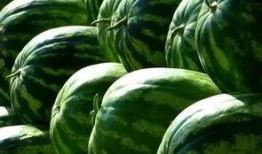 瓜怎么烤着吃,解锁夏日清新美味的新方式