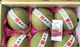 隆鼻后吃蜜瓜好吗,适宜还是禁忌？