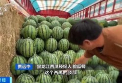 吃瓜q中转站,热门话题背后的真相与趣味