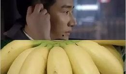 宝宝梦里吃瓜,瓜果飘香，甜蜜梦境揭秘