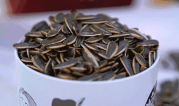 外国吃瓜嗑瓜子,嗑瓜子的跨国魅力