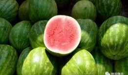 最新魏县吃瓜事件,揭秘背后真相与网络舆论风暴