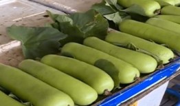 拉稀可以吃葫芦瓜,缓解拉稀的天然良方