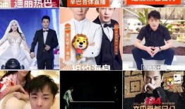 吃瓜直播间解说,揭秘娱乐圈幕后故事