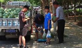 金乡吃瓜群众事件始末,一场网络舆论的风暴与反思