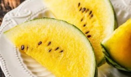 西瓜城吃瓜,一场夏日狂欢的味蕾之旅