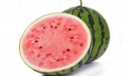 麒麟瓜做什么吃的,解锁夏日清新美味新主张