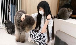 蔡萝莉 吃瓜,揭秘网络红人的真实一面