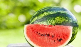 天凉了还吃瓜,天凉吃瓜的悠闲时光”