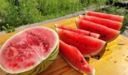 瓜熟了有吃的,共享丰收喜悦