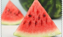 波兰球吃瓜图片,一场视觉盛宴的狂欢