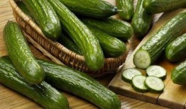 玲珑瓜不能与什么一起吃,揭秘不能与哪些食物同食的真相