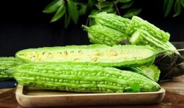 三伏天可以吃白瓜吗,白瓜的清凉养生之道