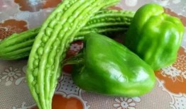 吃瓜和辣椒,探寻辣椒与美食的激情碰撞