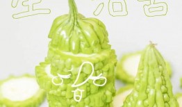 吃瓜幸运名字大全,趣味盎然的人名宝库