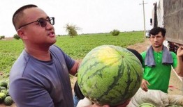 吃瓜的阿甘,揭秘娱乐圈背后的真实故事