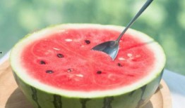 广东的吃瓜,广东特色美食探秘之旅