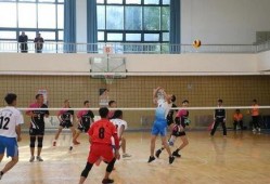 大学生打排球吃瓜,学子挥汗吃瓜，青春活力无限