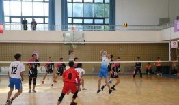 大学生打排球吃瓜,学子挥汗吃瓜，青春活力无限