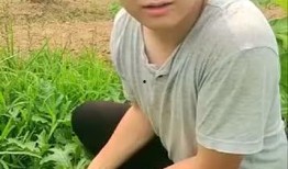 苏醒吃瓜强扭的瓜,一场意外的瓜界风云