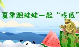 蛙导吃瓜,一场别开生面的美食之旅