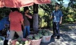 金乡吃瓜群众事件始末,一场网络舆论的风暴与反思